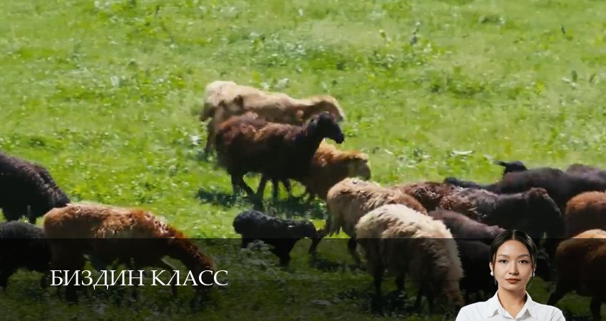 Биздин класс 1 сезон 24 серия смотреть онлайн в качестве 4K