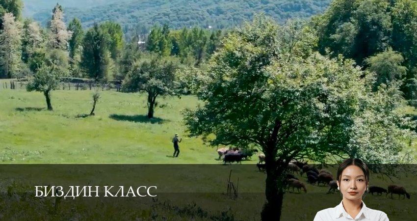 Биздин класс (1 сезон, 25 серия) смотреть онлайн бесплатно