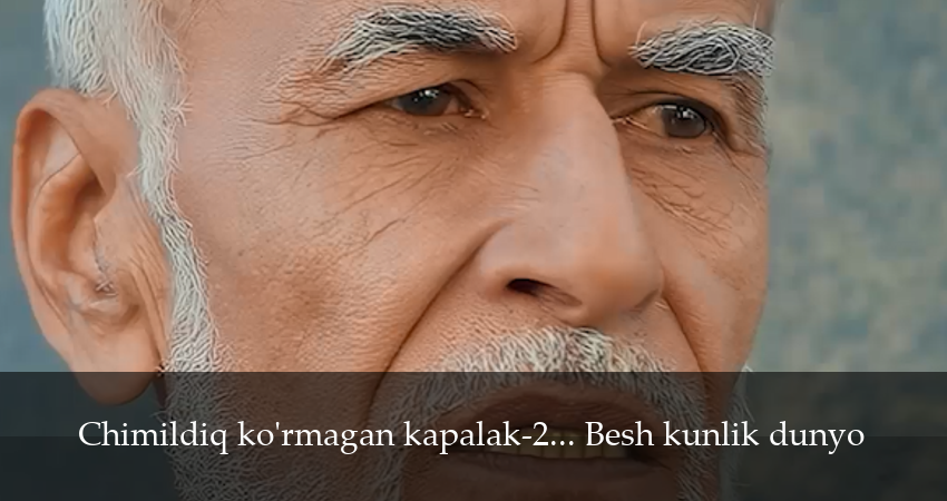 Chimildiq ko`rmagan kapalak-2... Besh kunlik dunyo 1 сезон 5 серия смотреть онлайн 720p или 1080p