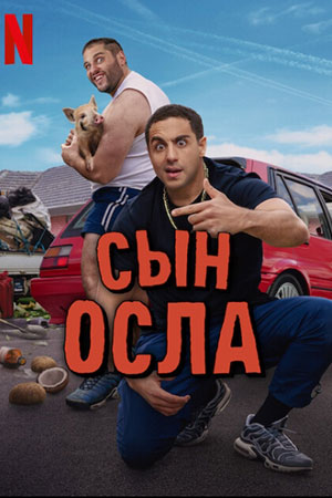 Сериал Сын осла (2025) 1 сезон смотреть в Full HD без подписки онлайн