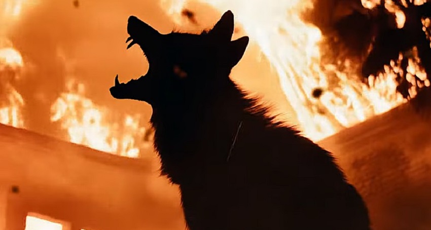 Ночь койота (2025) (США) онлайн бесплатно в высоком качестве