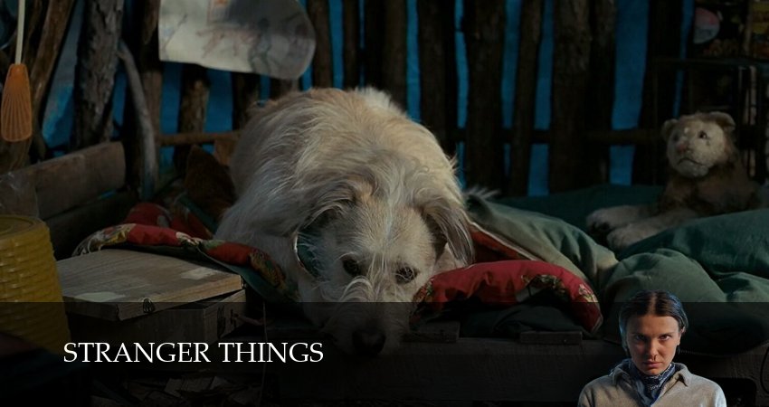 Сериал Очень Странные Дела (Stranger Things) (5 сезон, 2025) смотреть бесплатно онлайн