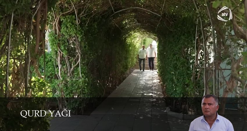 Qurd Yagi (2025) 1 сезон 10 серия смотреть в 4K качестве онлайн