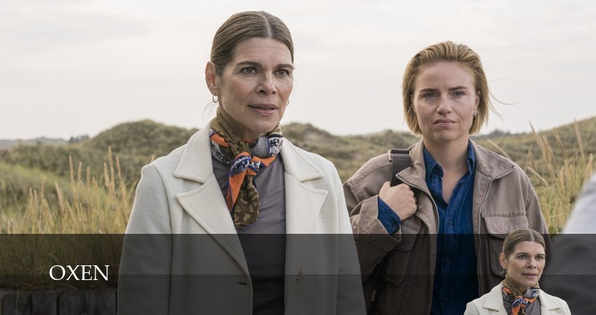 Сериал Оксен (2 сезон, 2025) смотреть онлайн бесплатно без рекламы