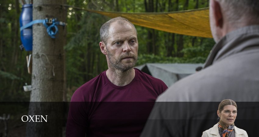 Оксен (2 сезон, 2025) смотреть онлайн бесплатно без рекламы