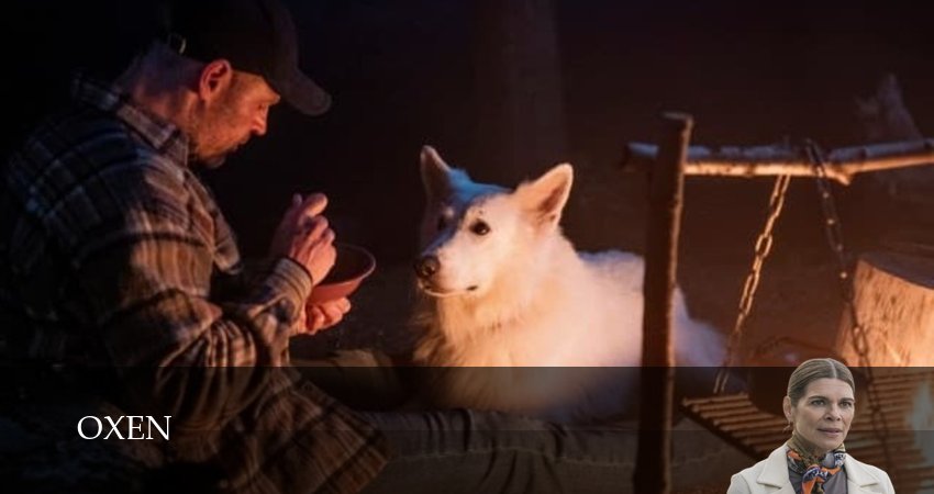 Оксен 2 сезон 8 серия смотреть бесплатно в хорошем качестве