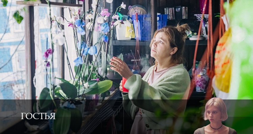 Сериал Гостья (1 сезон, 5 серия) смотреть онлайн все серии подряд в хорошем качестве