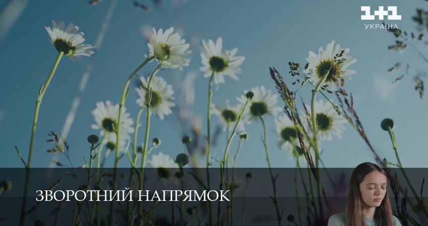 Зворотний напрямок (1 сезон, 2025) смотреть онлайн бесплатно