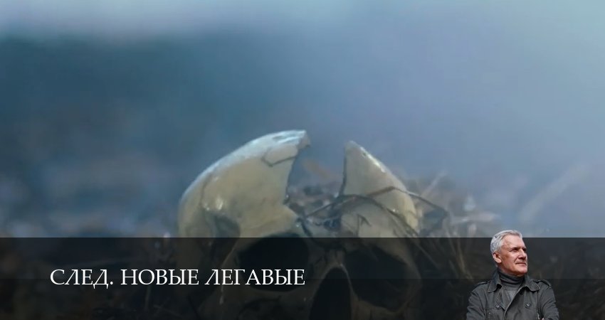 След. Новые легавые 1 сезон 9 серия смотреть бесплатно в хорошем качестве