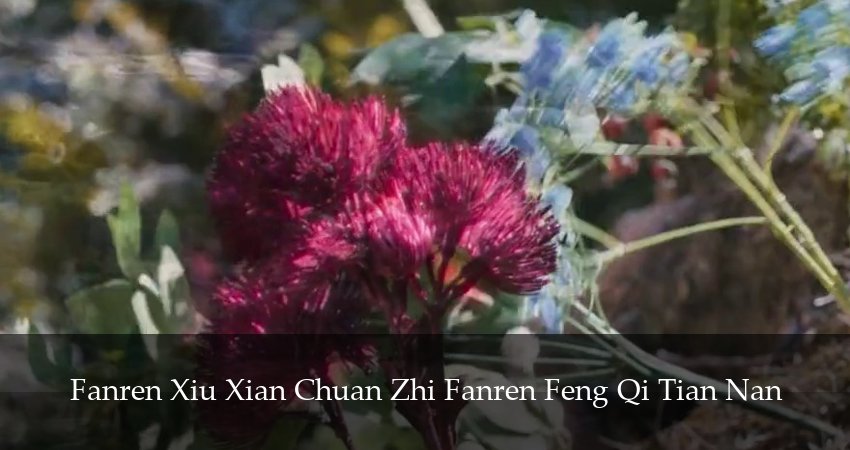 Сериал Путешествие к бессмертию (6 сезон, 2025) смотреть онлайн бесплатно без рекламы