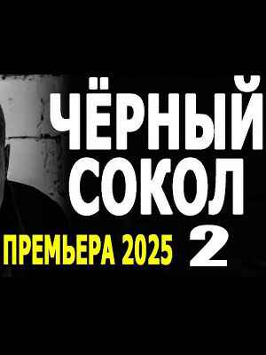 Фильм Чёрный сокол 2 (2025) смотреть онлайн в Full HD 1080 без регистрации и рекламы