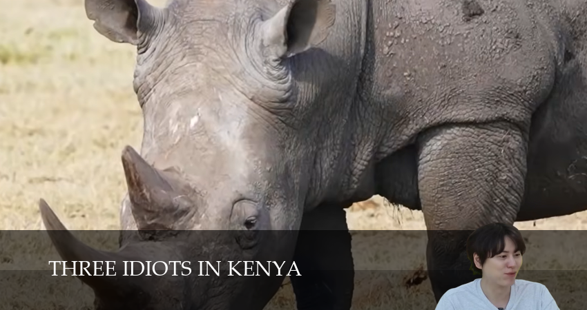 Смотреть сериал Три идиота в Кении 1 сезон 6 серия в хорошем качестве HD