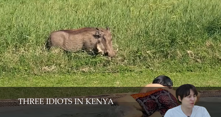 Три идиота в Кении 1 сезон 8 серия смотреть онлайн 720p или 1080p