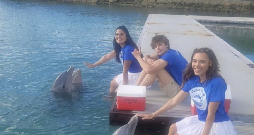 Фильм История дельфина: Каникулы на Багамах (2025) / Спасение Бимини 2025 смотреть онлайн в качество 1080 HD или 4K