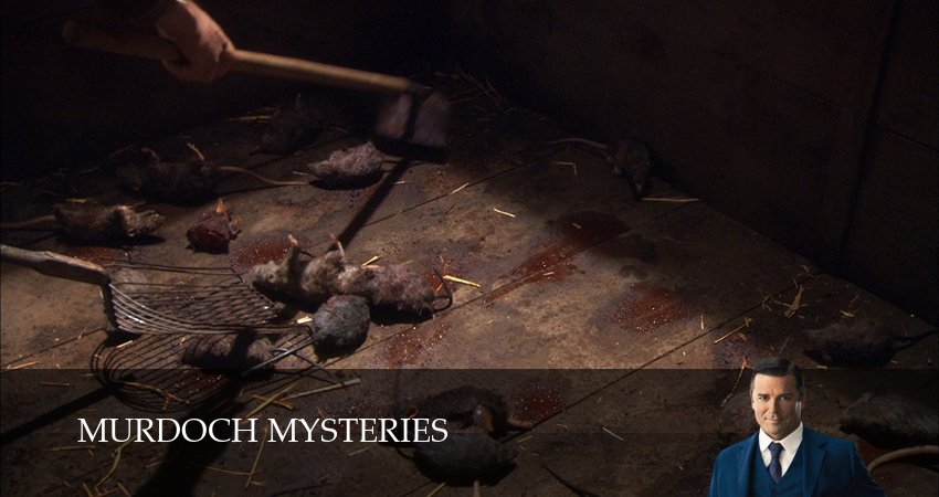 Расследования Мёрдока (2025) 19 сезон 3 серия полностью в хорошем качестве и бесплатно