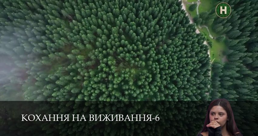 Кохання на виживання (6 сезон, 2025) смотреть онлайн бесплатно в хорошем качестве