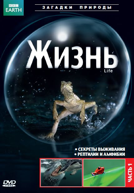 BBC: Жизнь (Life) (2009, Великобритания) смотреть онлайн