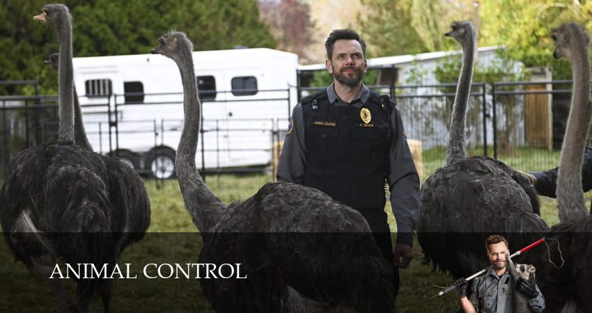 Контроль за животными 4 сезон 1 серия смотреть бесплатно в хорошем качестве