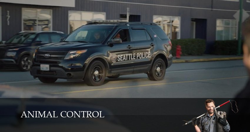 Контроль за животными (4 сезон, 3 серия) смотреть онлайн бесплатно без рекламы