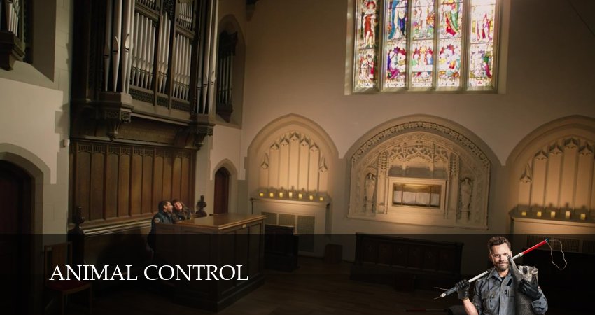 Сериал Контроль за животными (4 сезон) смотреть все серии | 2025