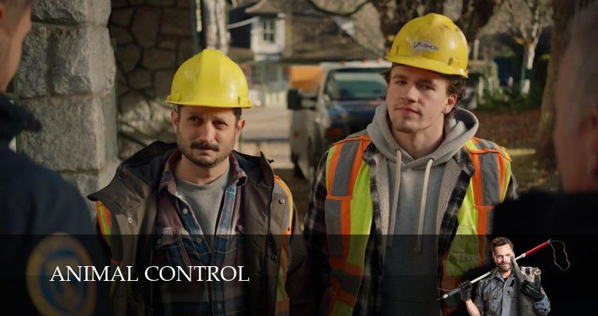 Сериал Контроль за животными (4 сезон, 10 серия) смотреть онлайн бесплатно в хорошем HD 1080 качестве