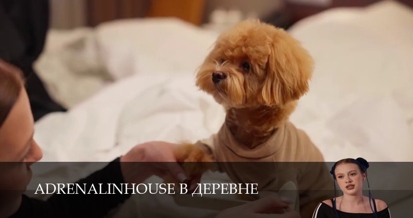 Сериал Adrenalinhouse в деревне (1 сезон, 5 серия) смотреть бесплатно онлайн