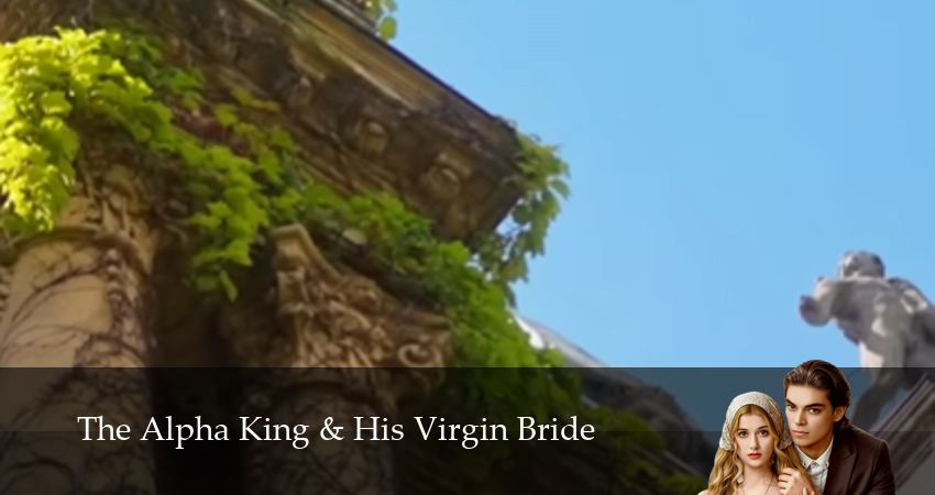Сериал Альфа и его невеста-девственница (1 сезон, 2025) смотреть бесплатно онлайн