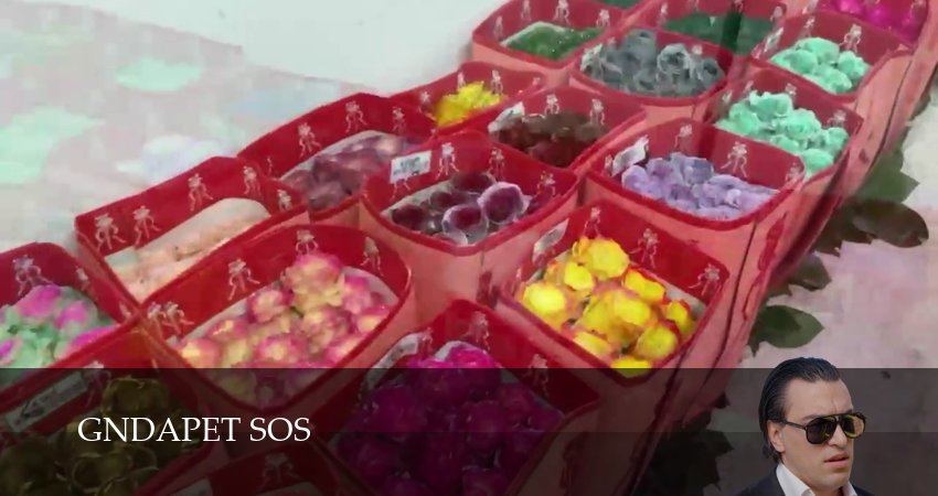 Gndapet sos (2025) 1 сезон 12 серия онлайн бесплатно в высоком качестве