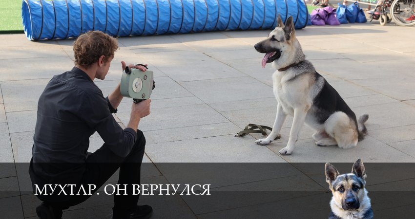 Сериал Мухтар. Он вернулся (1 сезон, 2025) смотреть онлайн бесплатно без рекламы