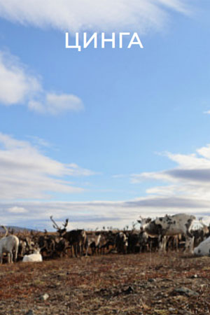 Фильм Цинга (2025) 2026 в Full HD бесплатно на русском