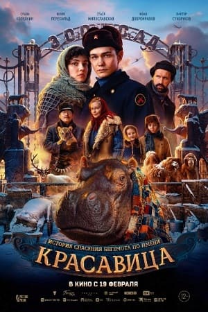 Красавица (2026) (2026) смотреть в качестве Full HD бесплатно