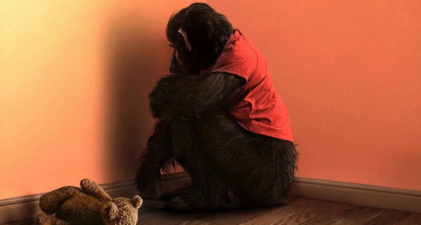 Примат (2026) (2026) смотреть бесплатно в хорошем качестве