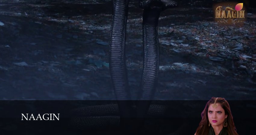 Naagin (2026) 3 сезон 124 серия полностью в хорошем качестве и бесплатно