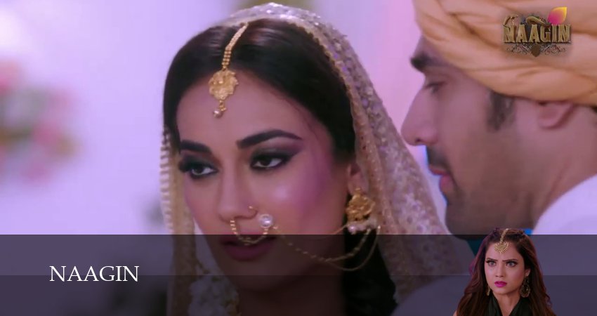 Naagin (3 сезон, 143 серия) смотреть онлайн все серии подряд в хорошем качестве
