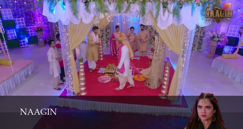 Naagin (3 сезон, 145 серия) смотреть онлайн бесплатно без рекламы