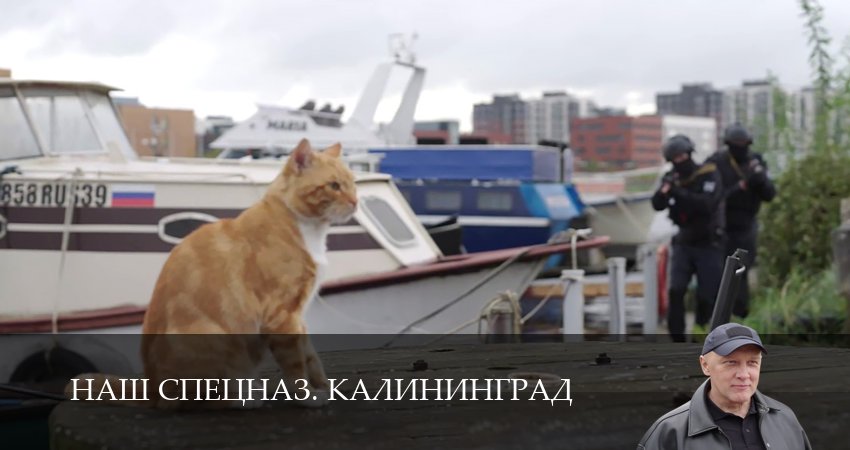 Наш спецназ. Калининград (1 сезон, 11 серия) смотреть онлайн в хорошем качестве бесплатно