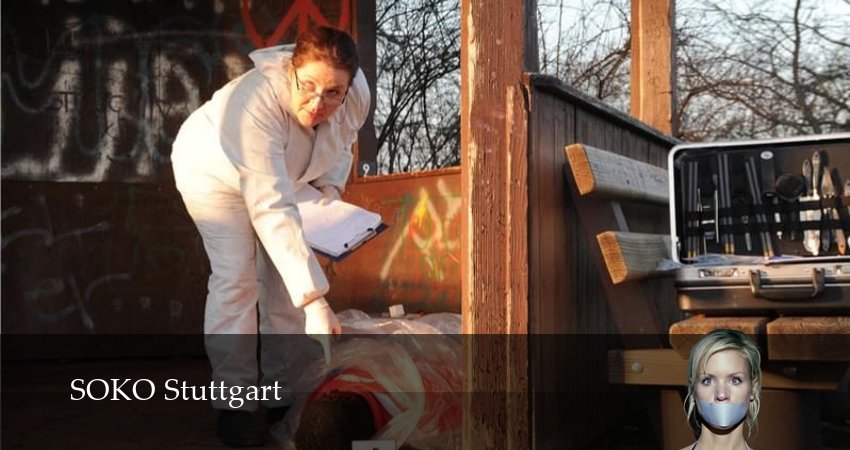 Смотреть сераил Штутгартское убийство (2026) 17 сезон 2 серия HD 1080, 4K