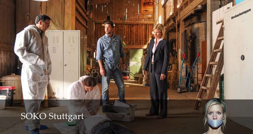 Сериал Штутгартское убийство (17 сезон, 2026) смотреть онлайн бесплатно в хорошем качестве