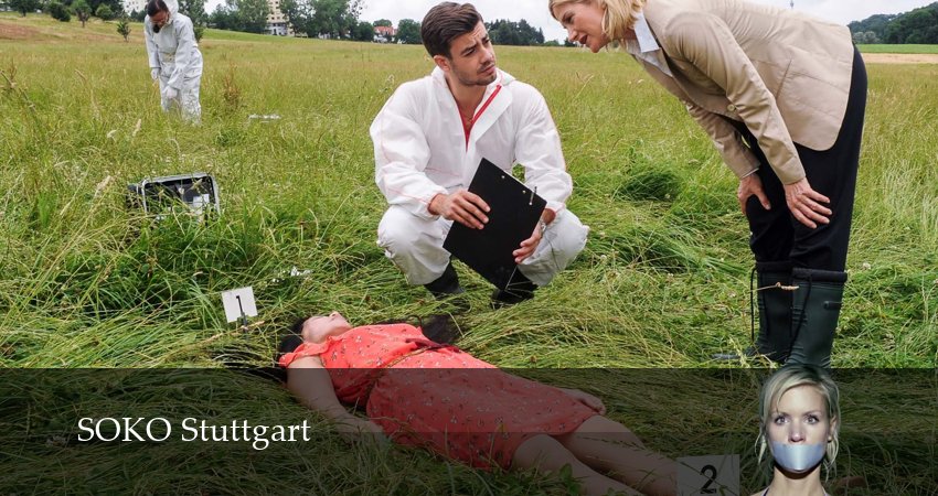 Сериал Штутгартское убийство (17 сезон, 20 серия) смотреть онлайн бесплатно