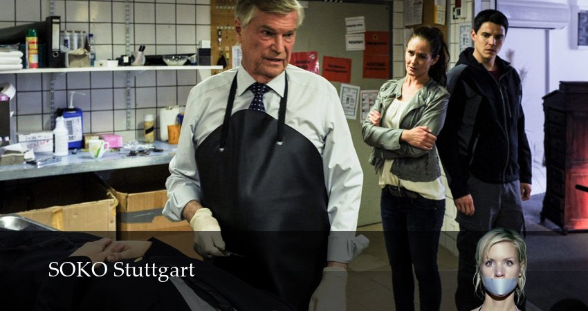 Штутгартское убийство (17 сезон, 23 серия) смотреть онлайн без рекламы