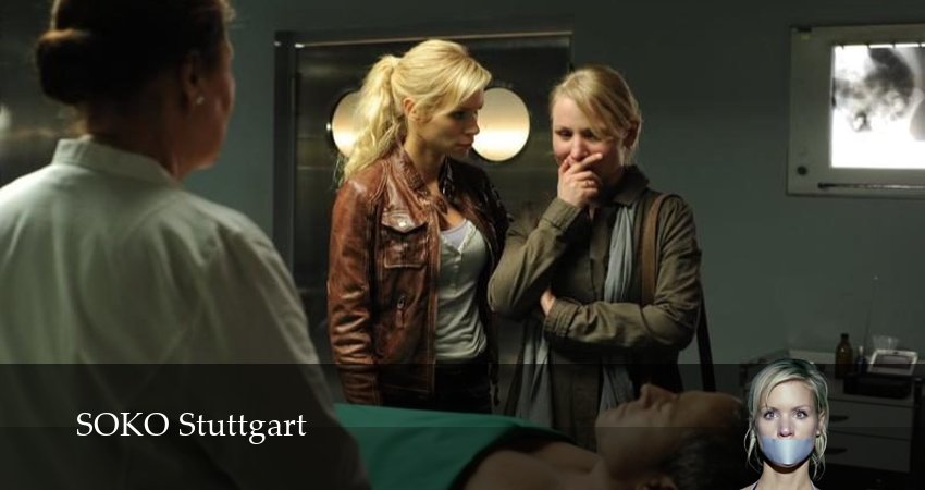 Штутгартское убийство (17 сезон, 28 серия) смотреть онлайн бесплатно в хорошем HD 1080 качестве