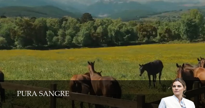 Чистая кровь (1 сезон) бесплатно | 2026