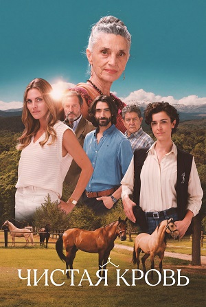 Чистая кровь (2026) 1 сезон смотреть онлайн все серии в HD 720 или 1080