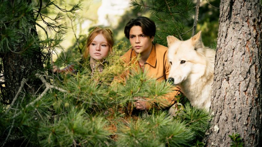 Дети леса 2 (2026) (Германия) полная версия смотреть бесплатно