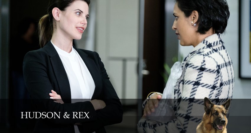 Хадсон и Рекс 9 сезон 1 серия смотреть онлайн в качестве 4K