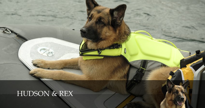 Хадсон и Рекс (9 сезон, 2026) смотреть онлайн все серии подряд в хорошем качестве