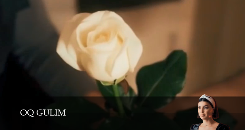 Сериал Oq gulim...Besh kunlik dunyo (1 сезон, 2026) смотреть онлайн бесплатно в хорошем HD качестве