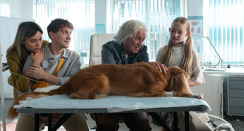 Доктор Гаф (2026) (2026) смотреть онлайн бесплатно