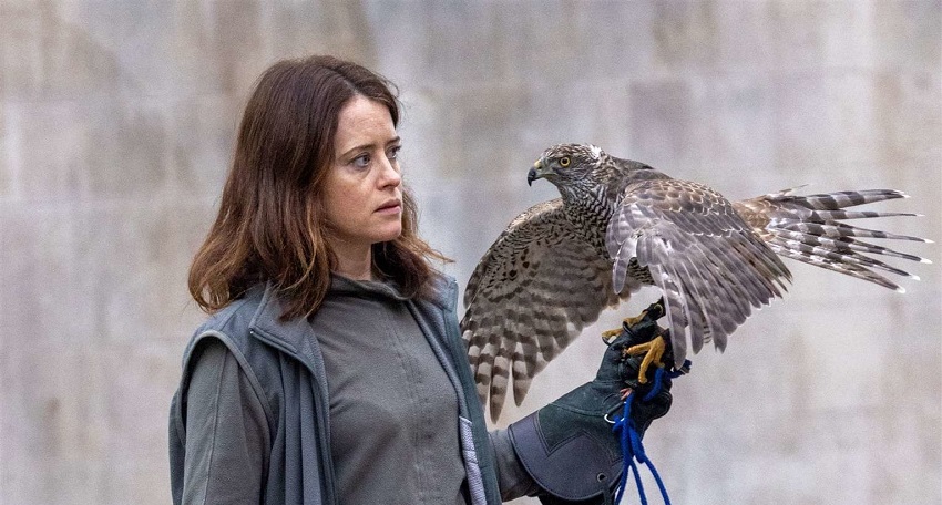 Смотреть фильм «Я» значит Ястреб (2025) (Великобритания) HD 1080, 4K