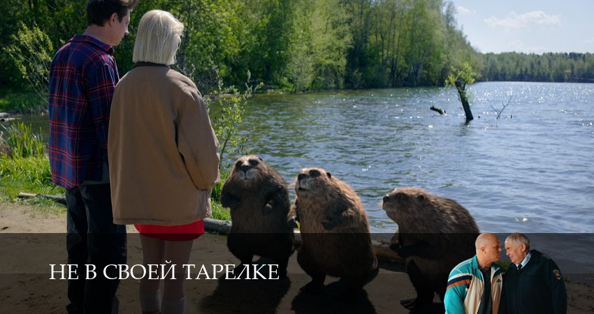 Не в своей тарелке (2026) 1 сезон 14 серия смотреть онлайн бесплатно